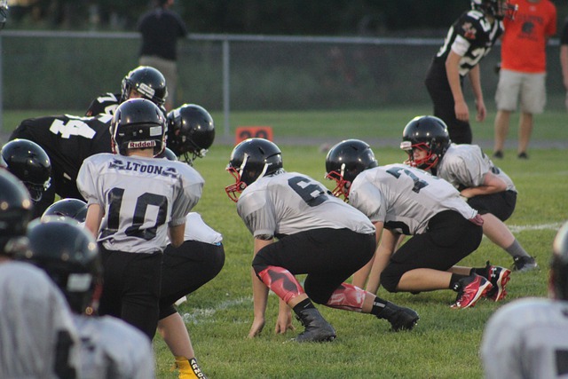 中的地位 中的地位