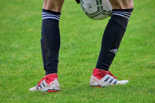 但成都蓉城 但成都蓉城