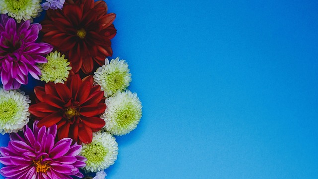 元的社会注 元的社会注