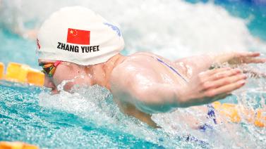 数据显示 数据显示