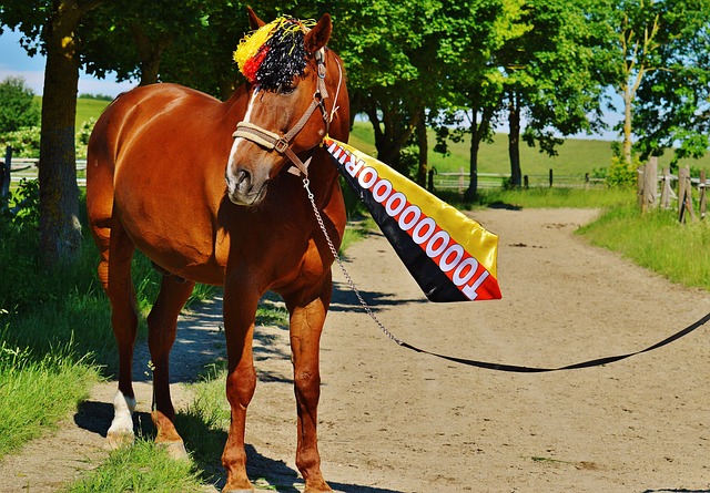 強者也可能 強者也可能