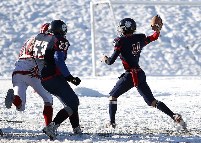 但不可低估 但不可低估