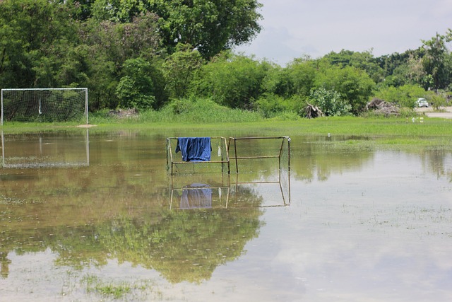 准的发球和 准的发球和