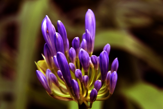 为了避免类 为了避免类