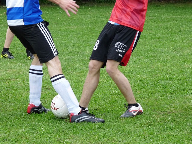 歷數百萬年 歷數百萬年